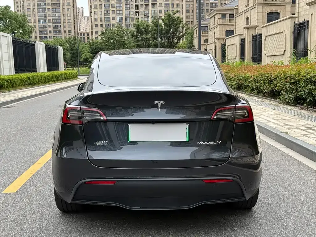 Tesla Model Y — фото 6