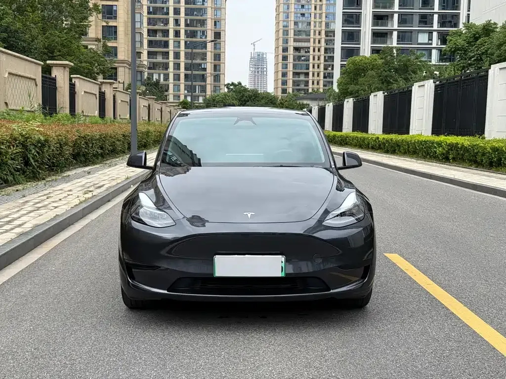 Tesla Model Y — фото 10