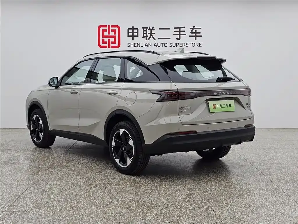 Haval Xiaolong MAX — фото 6