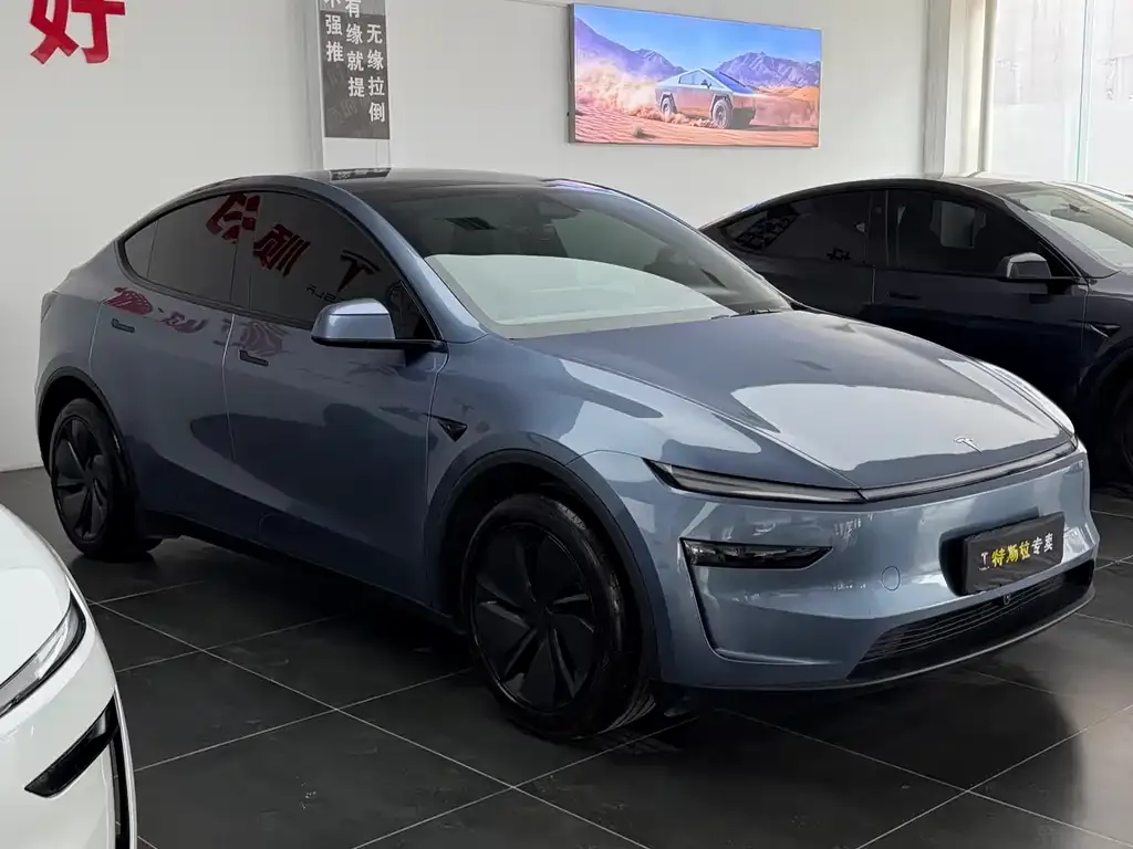 Tesla Model Y — фото 3