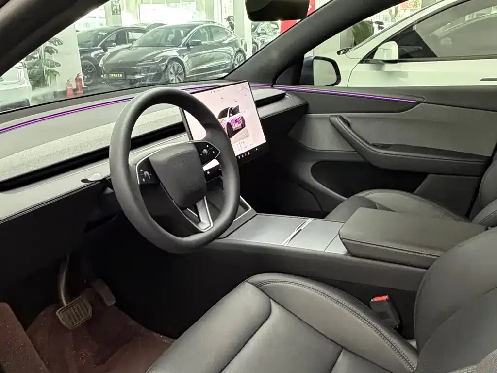 Tesla Model Y — фото 10