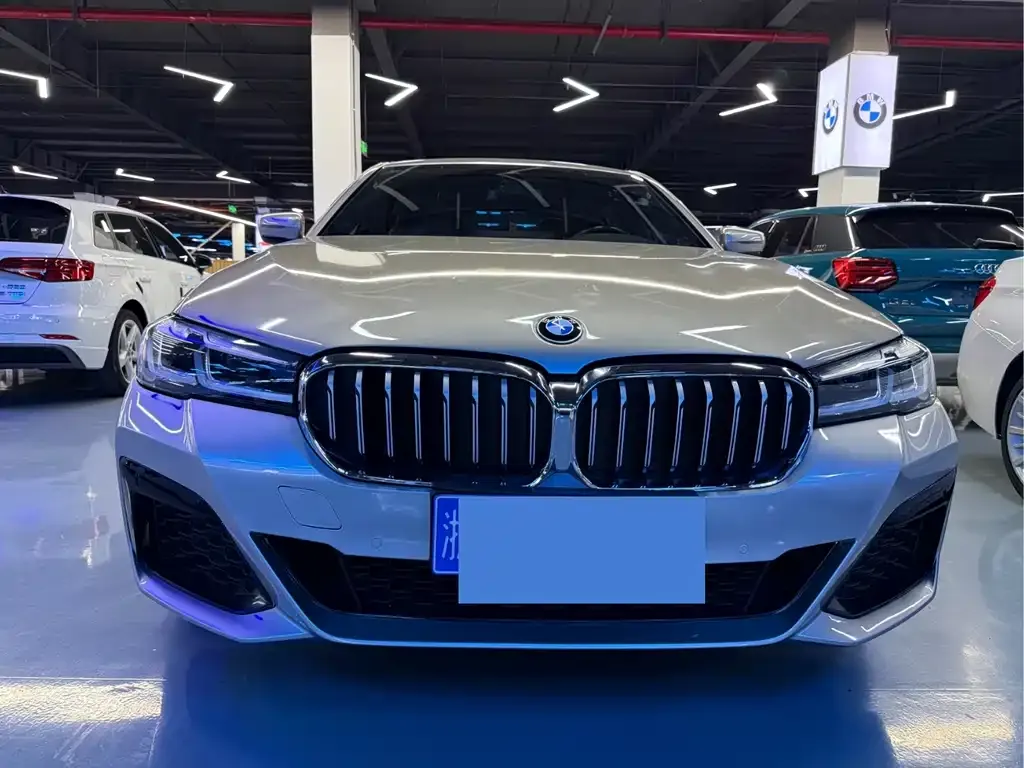 BMW 5 Series 2021 из CN, фото 9
