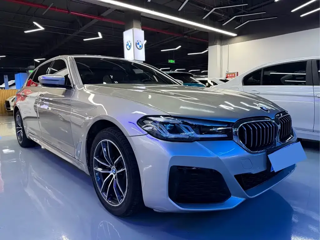 BMW 5 Series 2021 из CN, фото 4