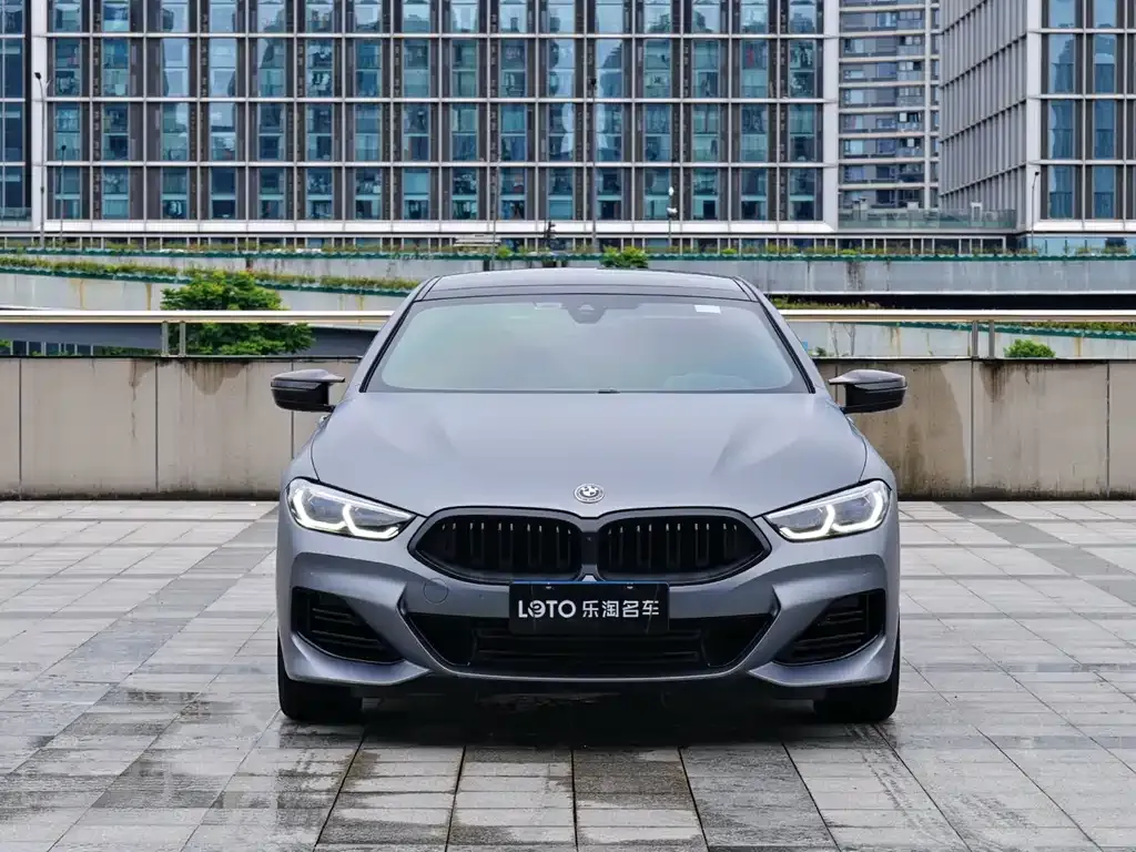 BMW 8 Series — фото 10