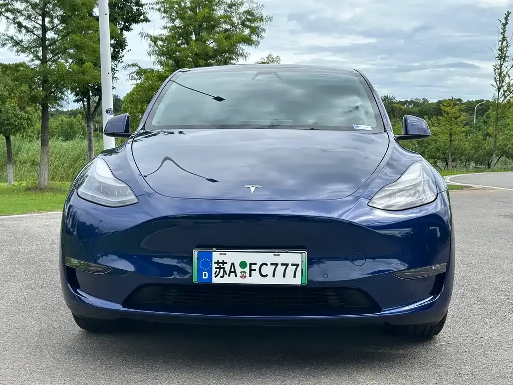 Tesla Model Y — фото 6
