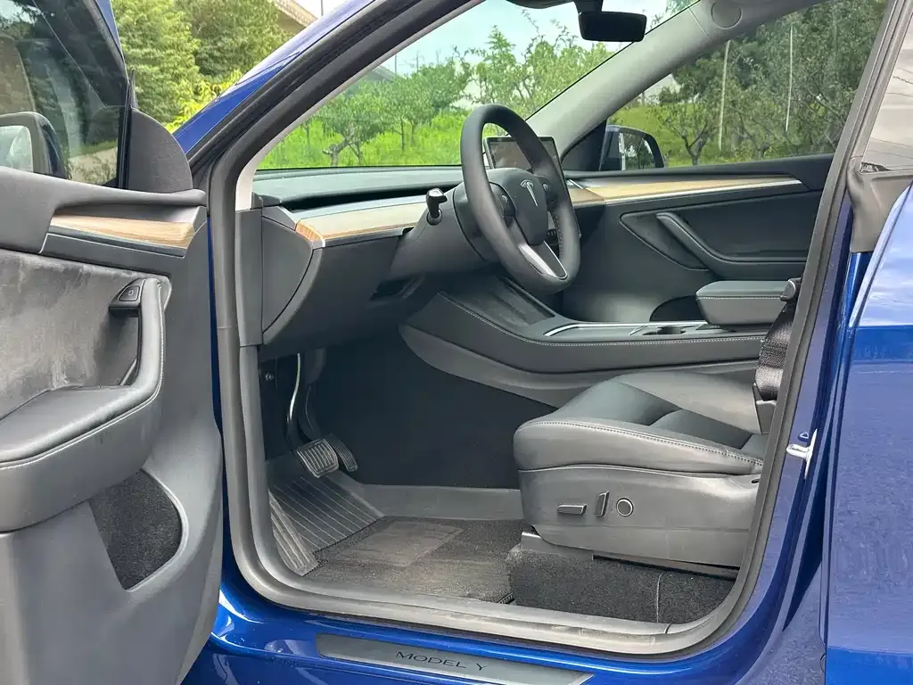 Tesla Model Y — фото 10