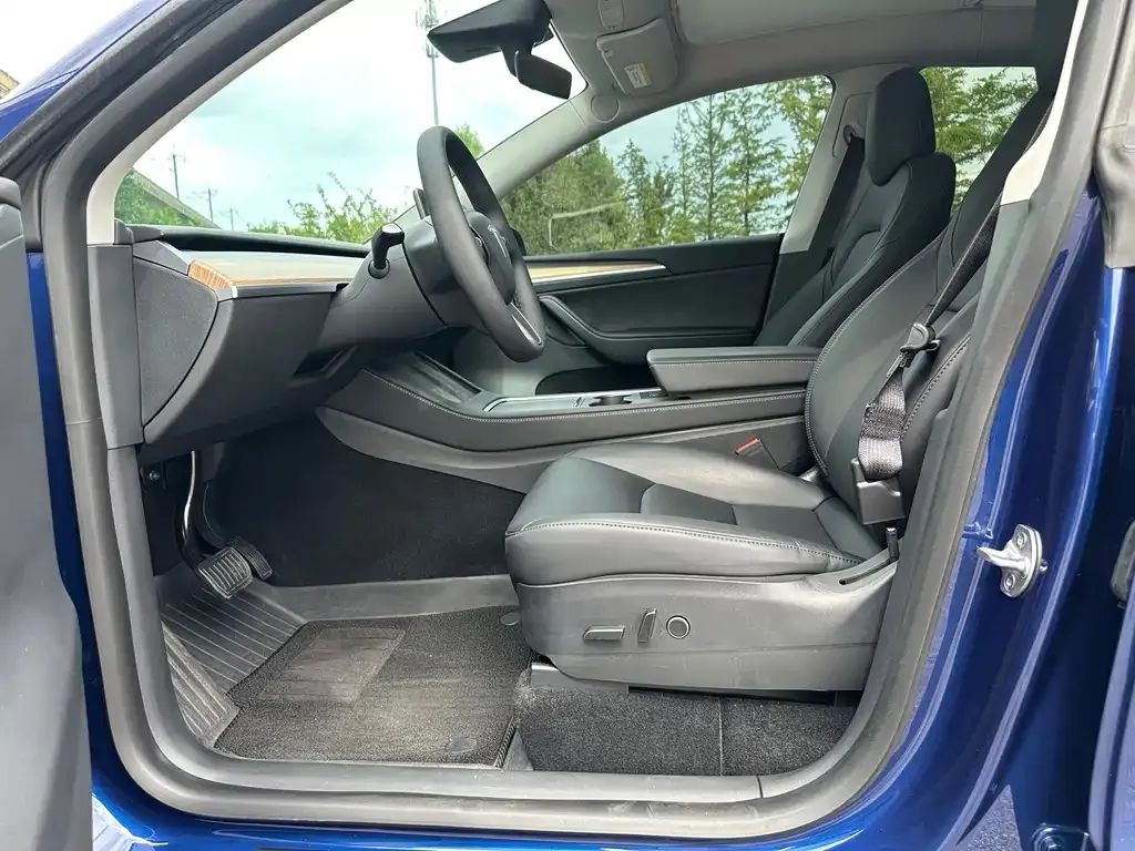 Tesla Model Y — фото 5