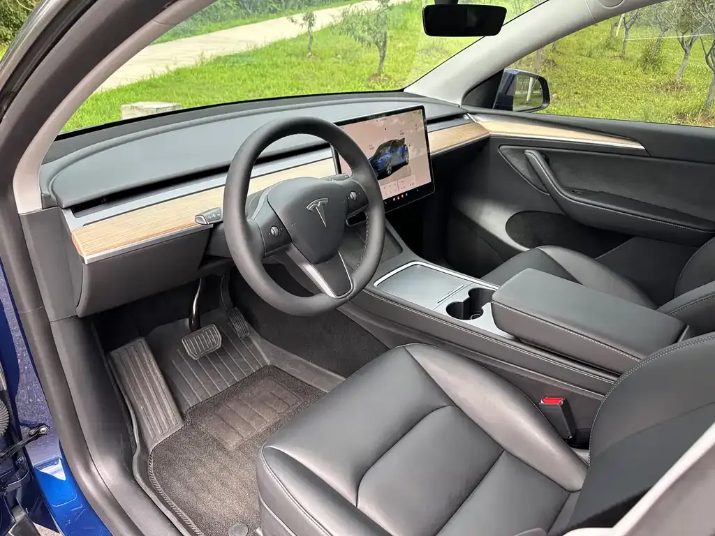 Tesla Model Y — фото 2