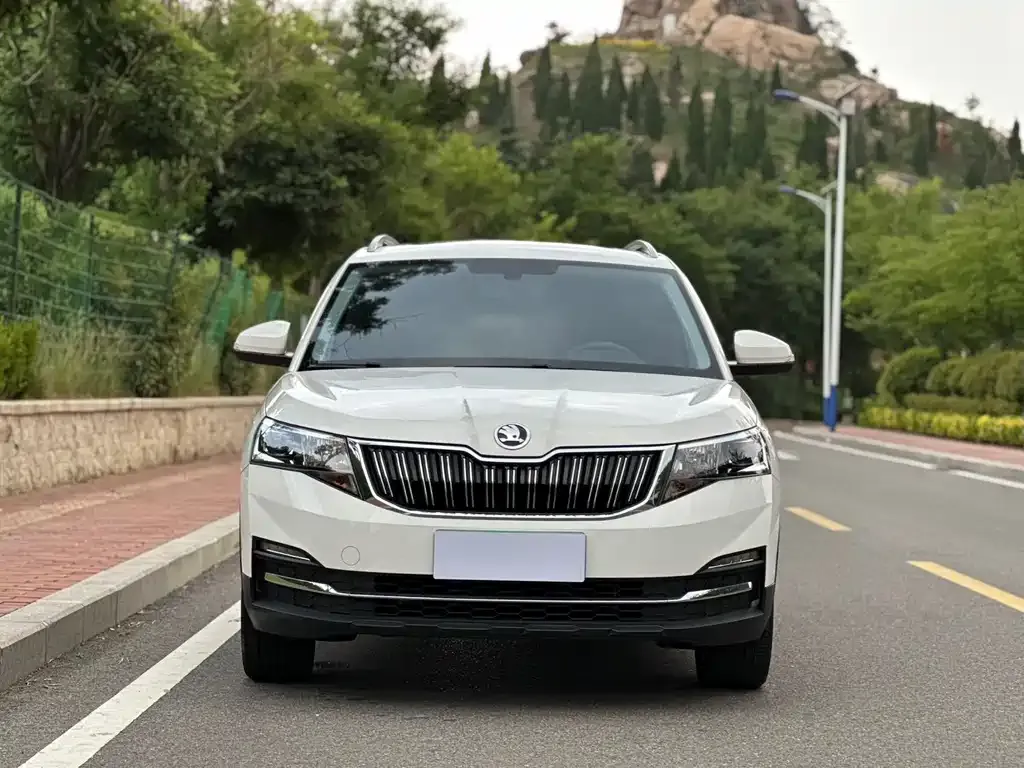 Skoda Kamiq — фото 10