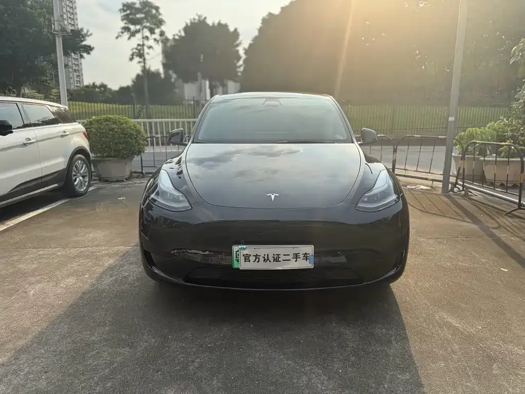 Tesla Model Y — фото 10