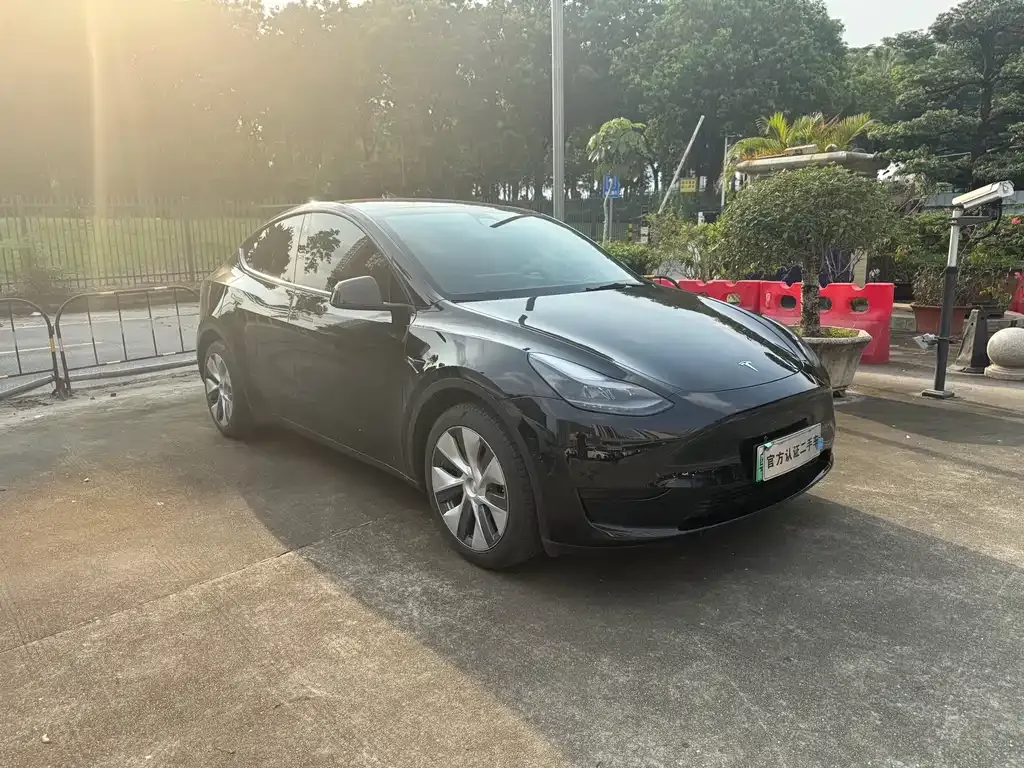 Tesla Model Y — фото 8