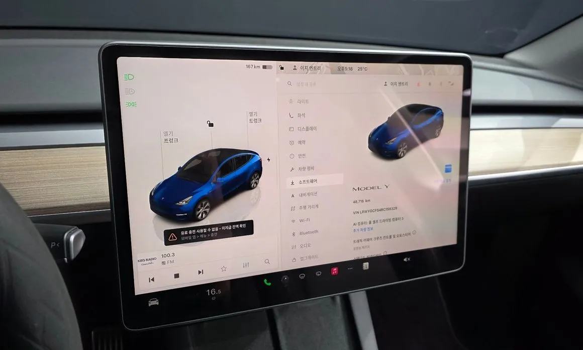 Tesla Model Y 2024 из KR, фото 8