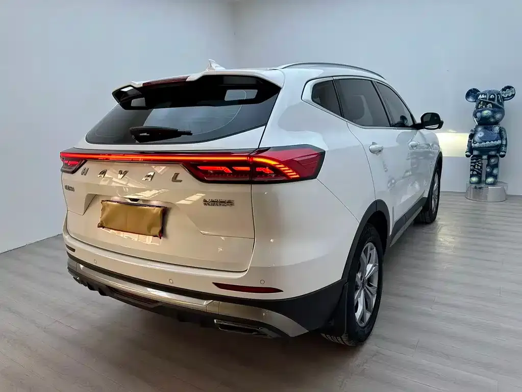 Haval H6 — фото 8