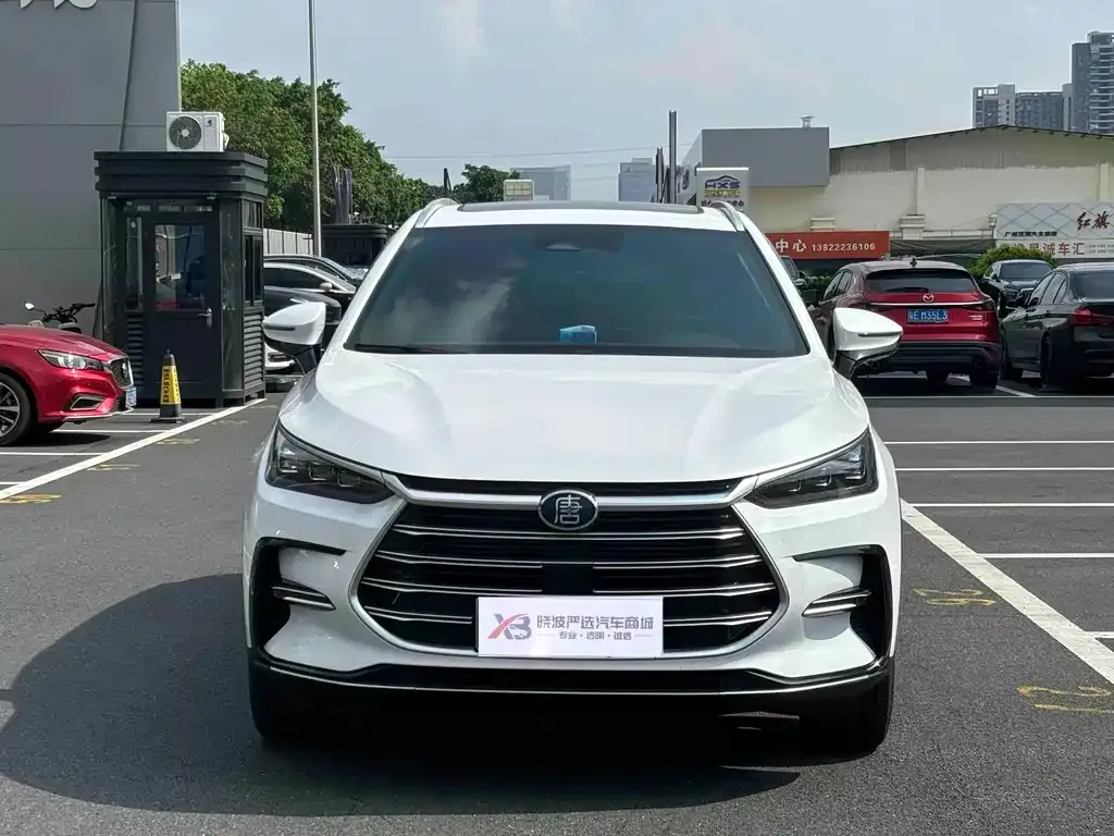 BYD Tang New Energy — фото 5
