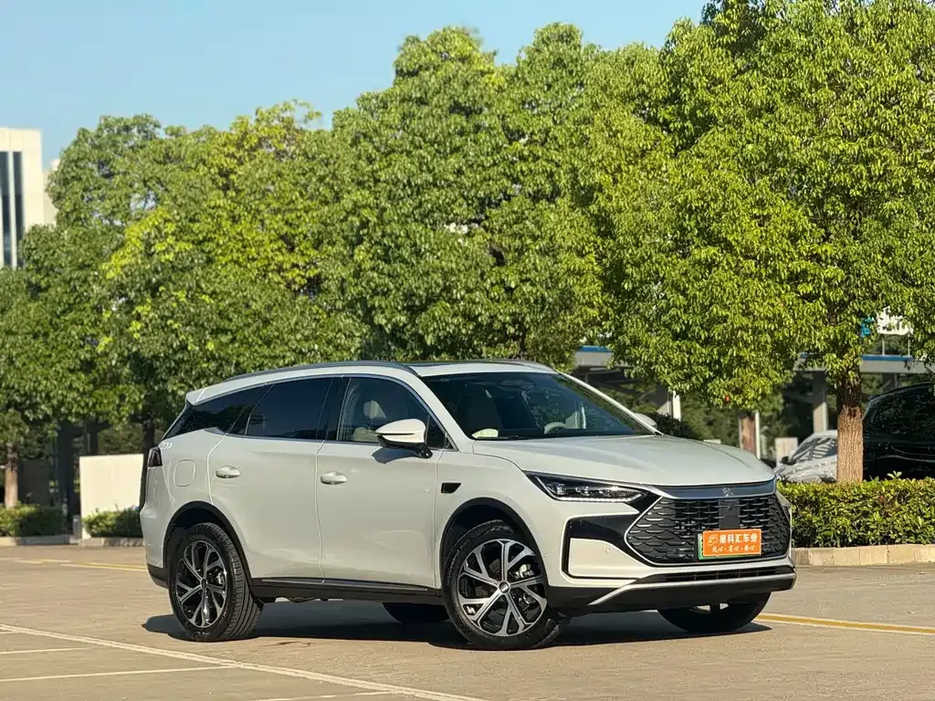 BYD Tang New Energy — фото 10