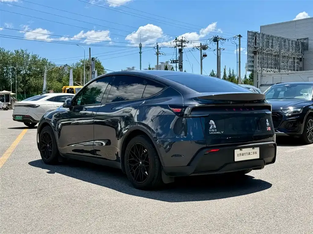 Tesla Model Y — фото 5