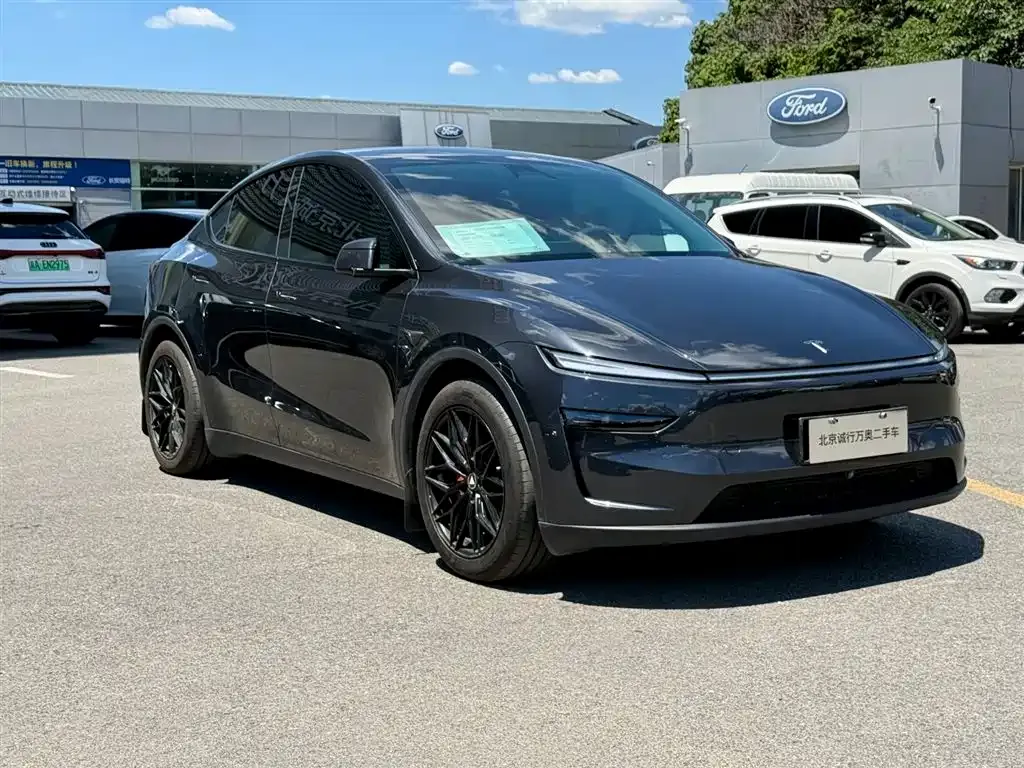 Tesla Model Y — фото 8