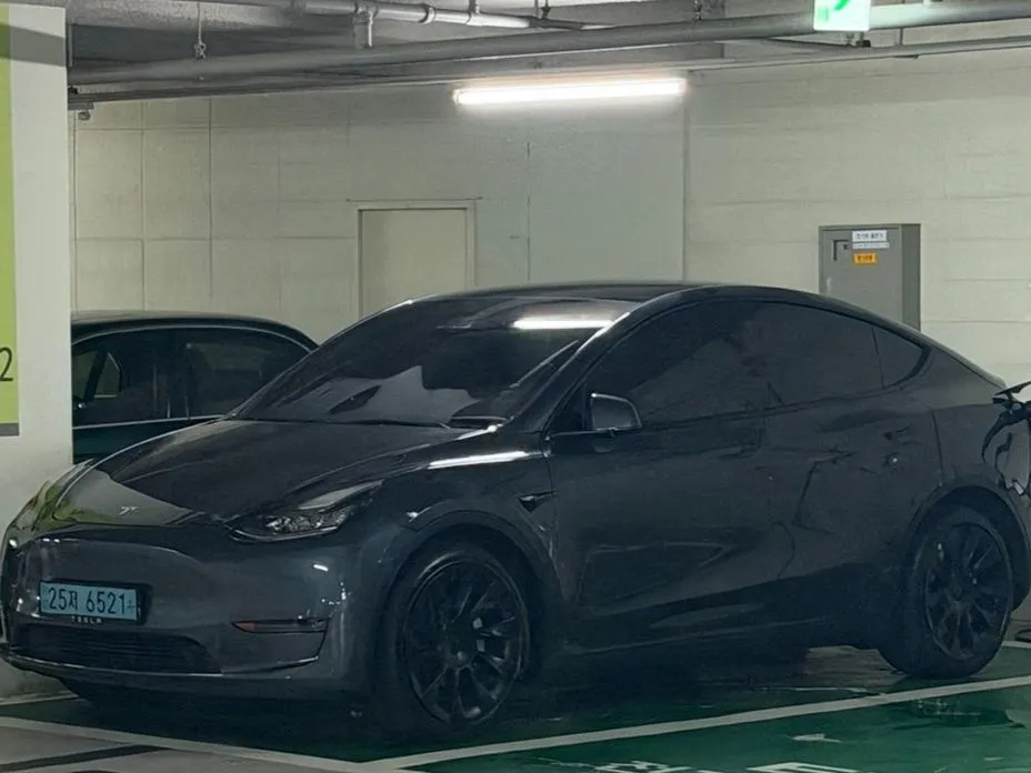 Tesla Model Y — фото 1