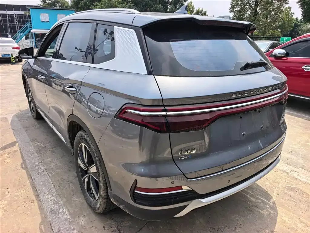 BYD Pro New Energy — фото 6