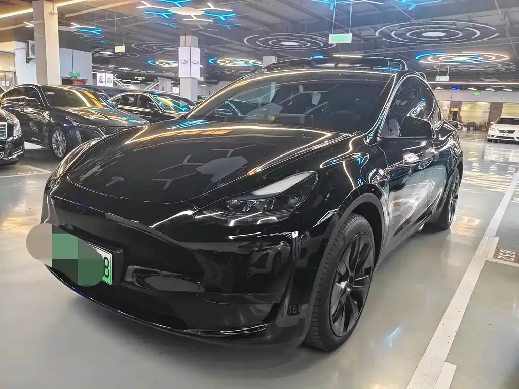 Tesla Model Y — фото 1
