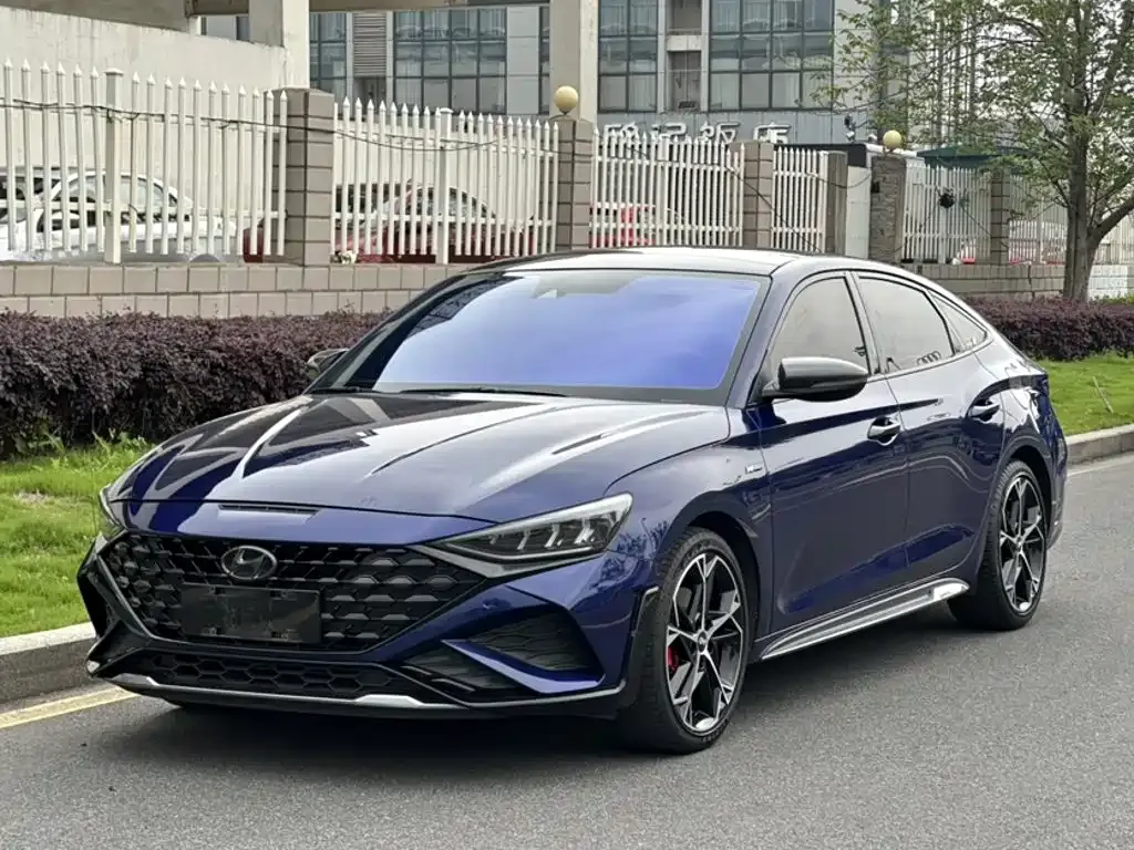 Hyundai Fista — фото 1