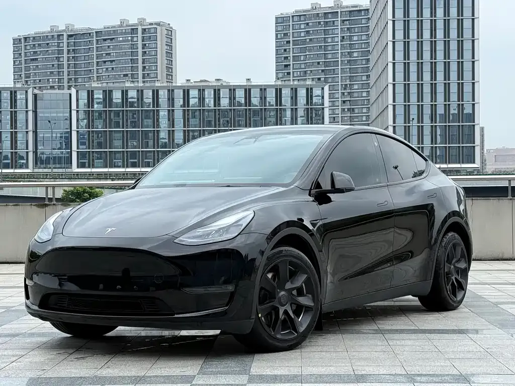 Tesla Model Y — фото 1