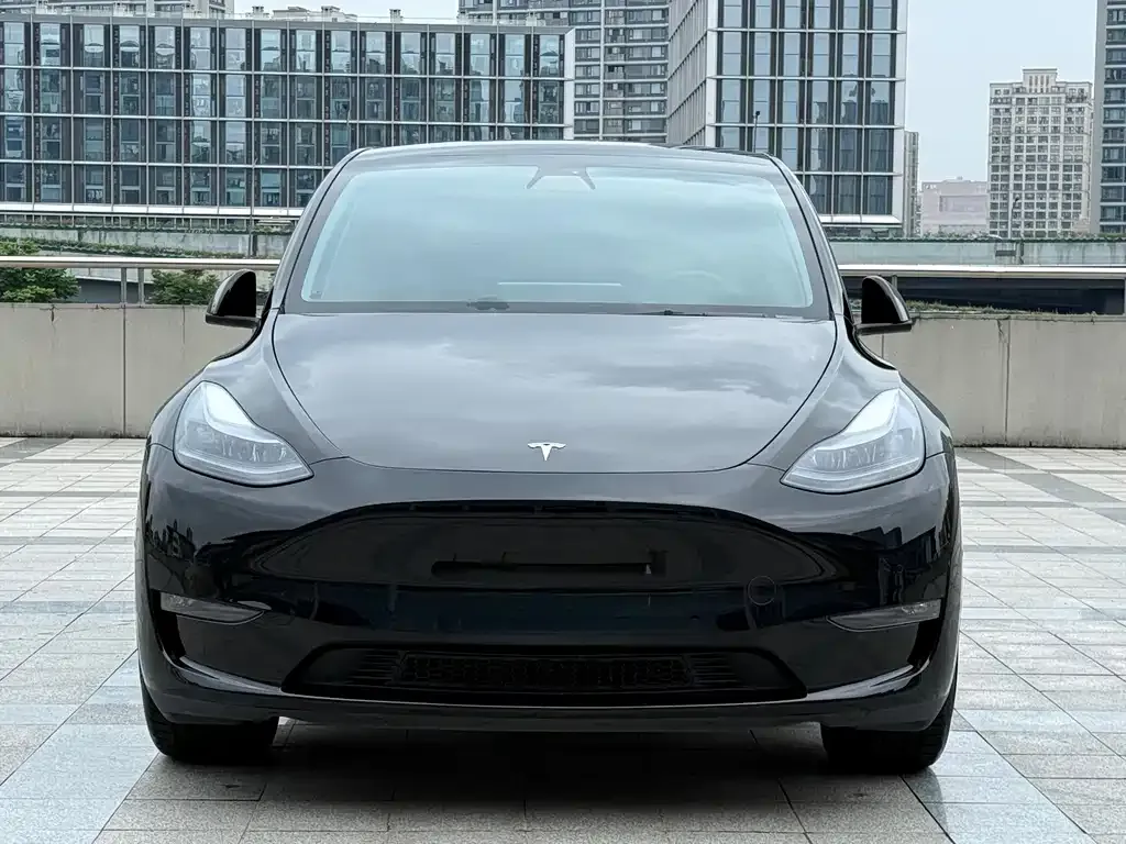 Tesla Model Y — фото 2