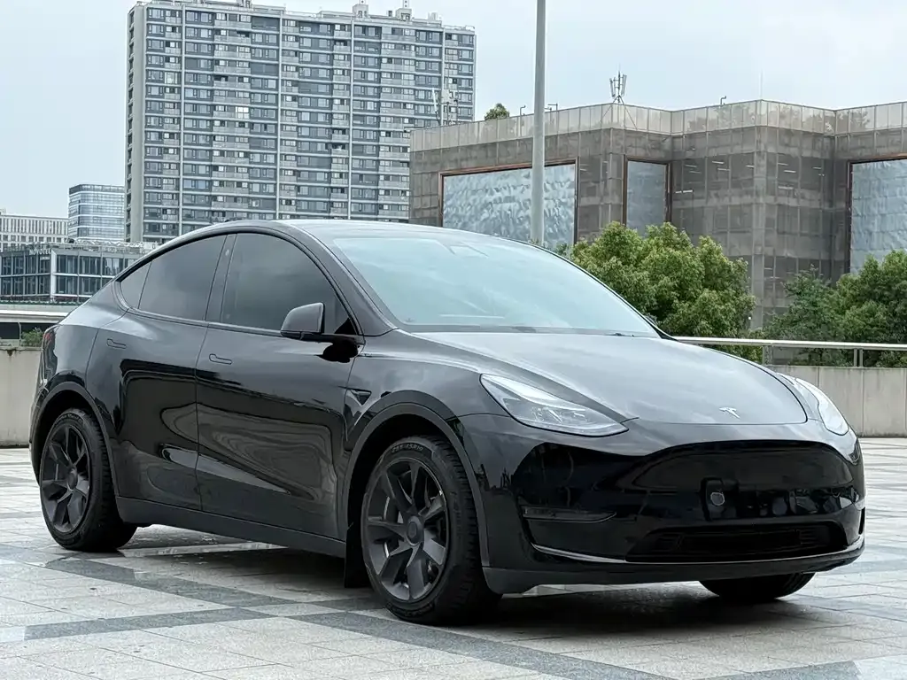 Tesla Model Y — фото 8