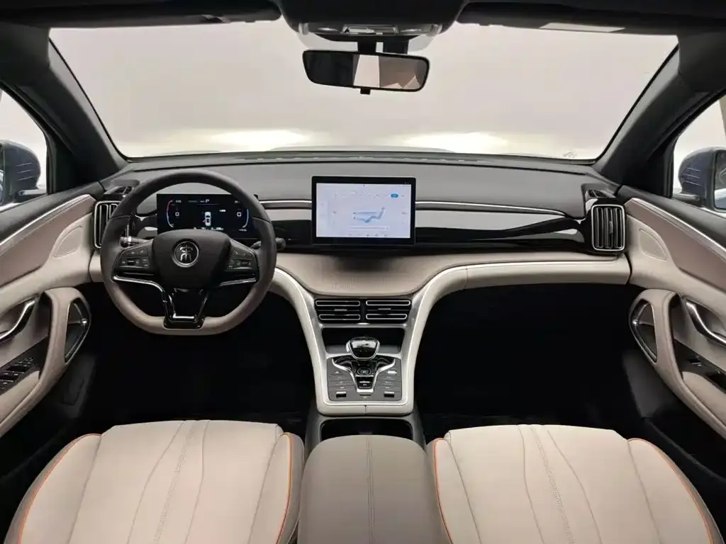 BYD Pro New Energy 2024 из CN, фото 10