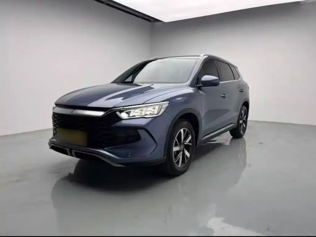 BYD Pro New Energy 2024 из CN, фото 2