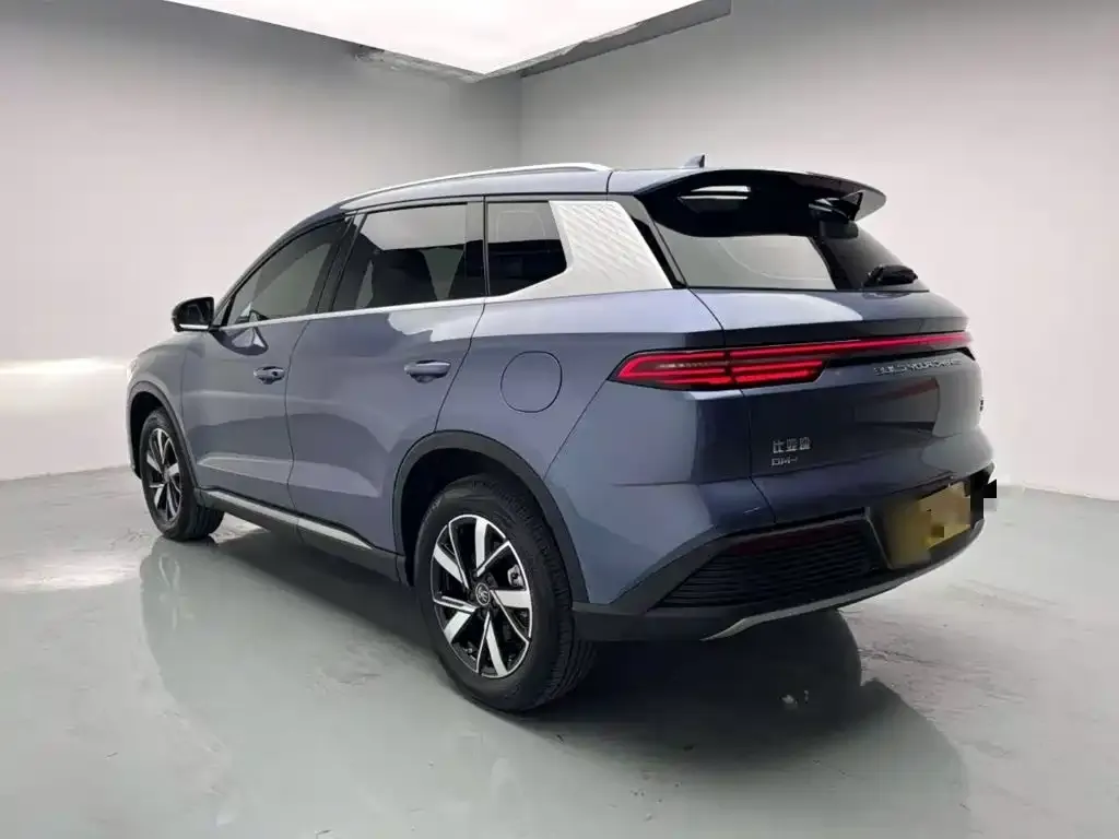 BYD Pro New Energy 2024 из CN, фото 4