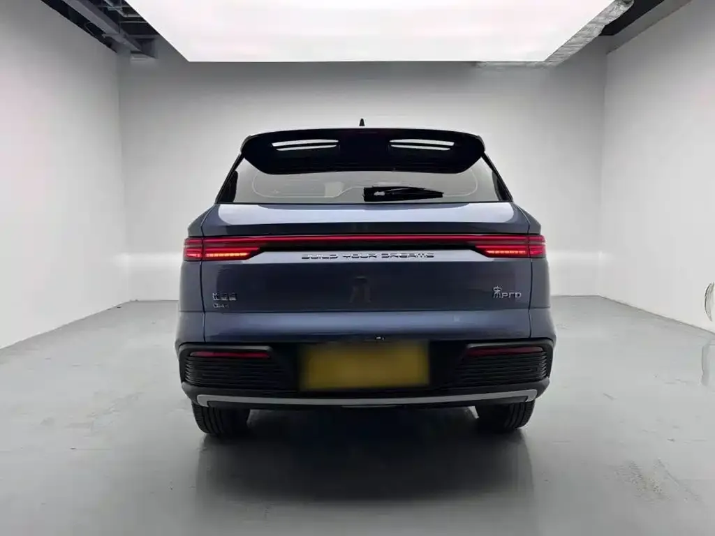 BYD Pro New Energy 2024 из CN, фото 7