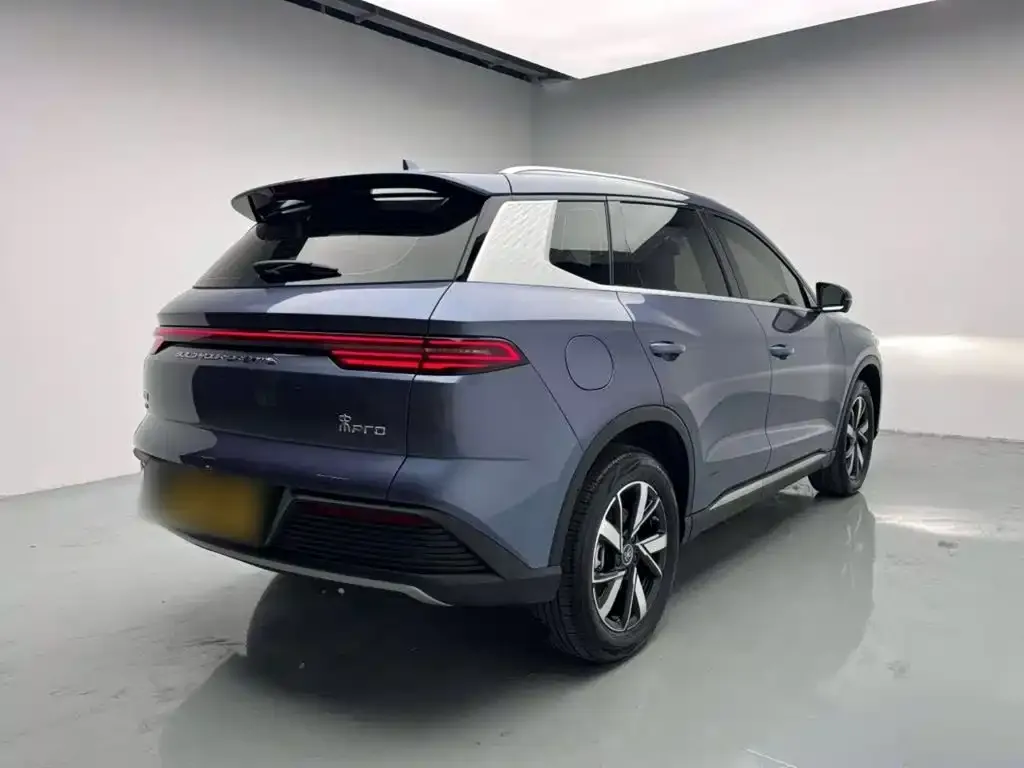 BYD Pro New Energy 2024 из CN, фото 9