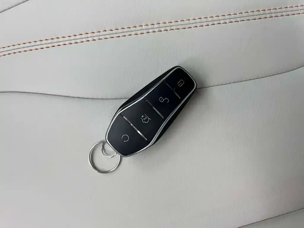 BYD Pro New Energy 2024 из CN, фото 6