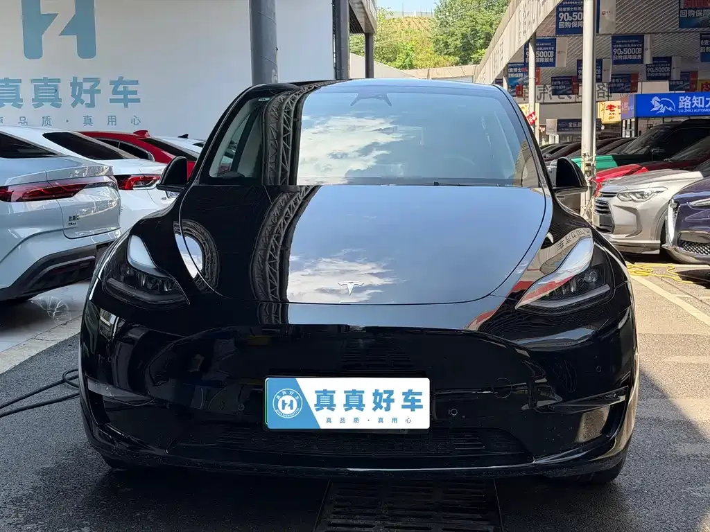 Tesla Model Y — фото 9
