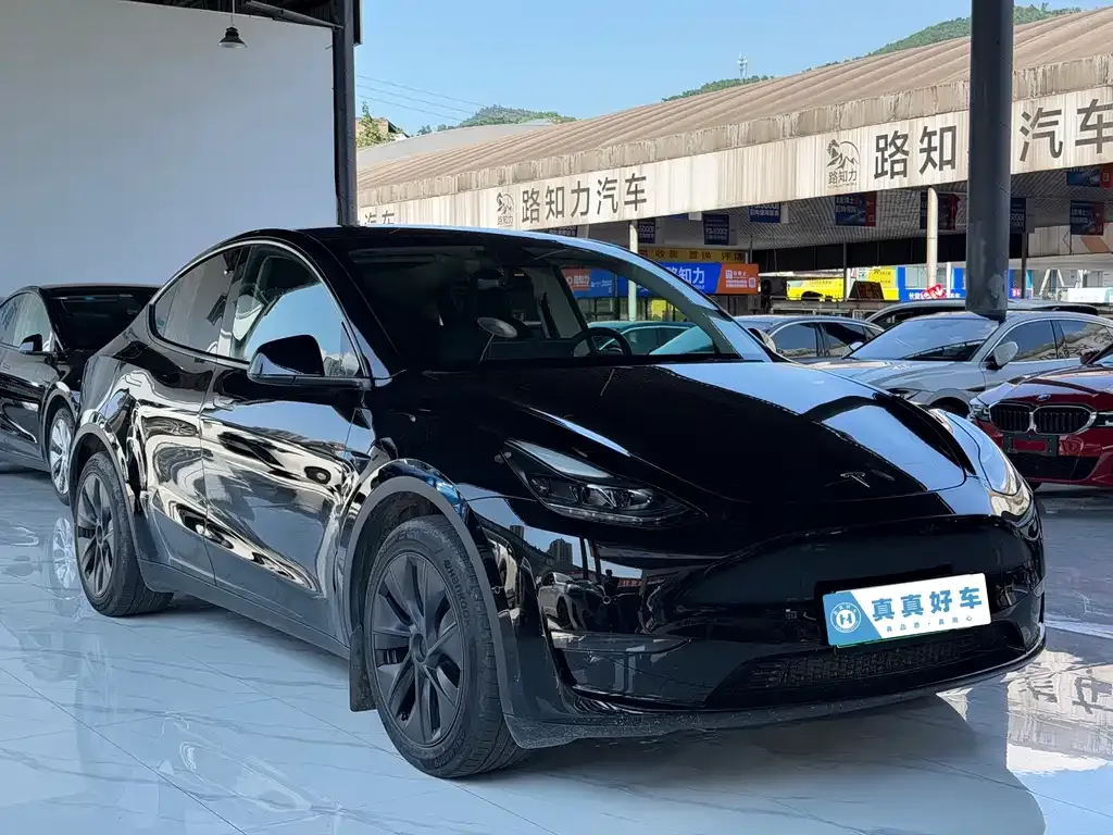 Tesla Model Y — фото 6