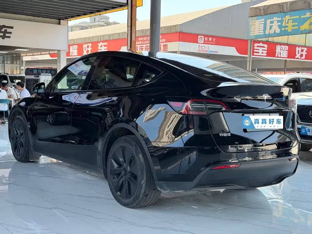 Tesla Model Y — фото 10