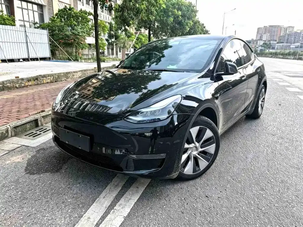 Tesla Model Y — фото 8