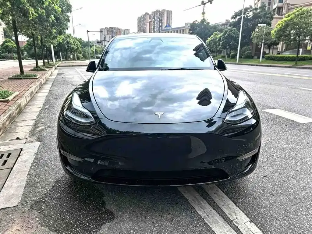 Tesla Model Y — фото 6