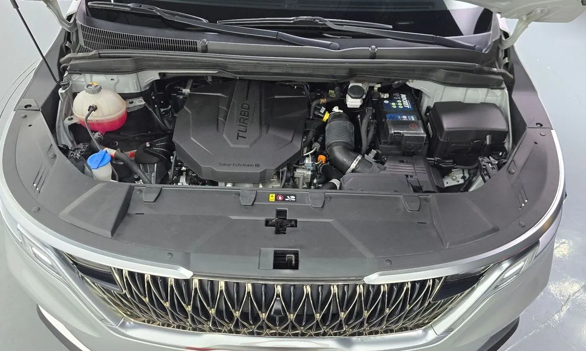 Kia Carnival — фото 10
