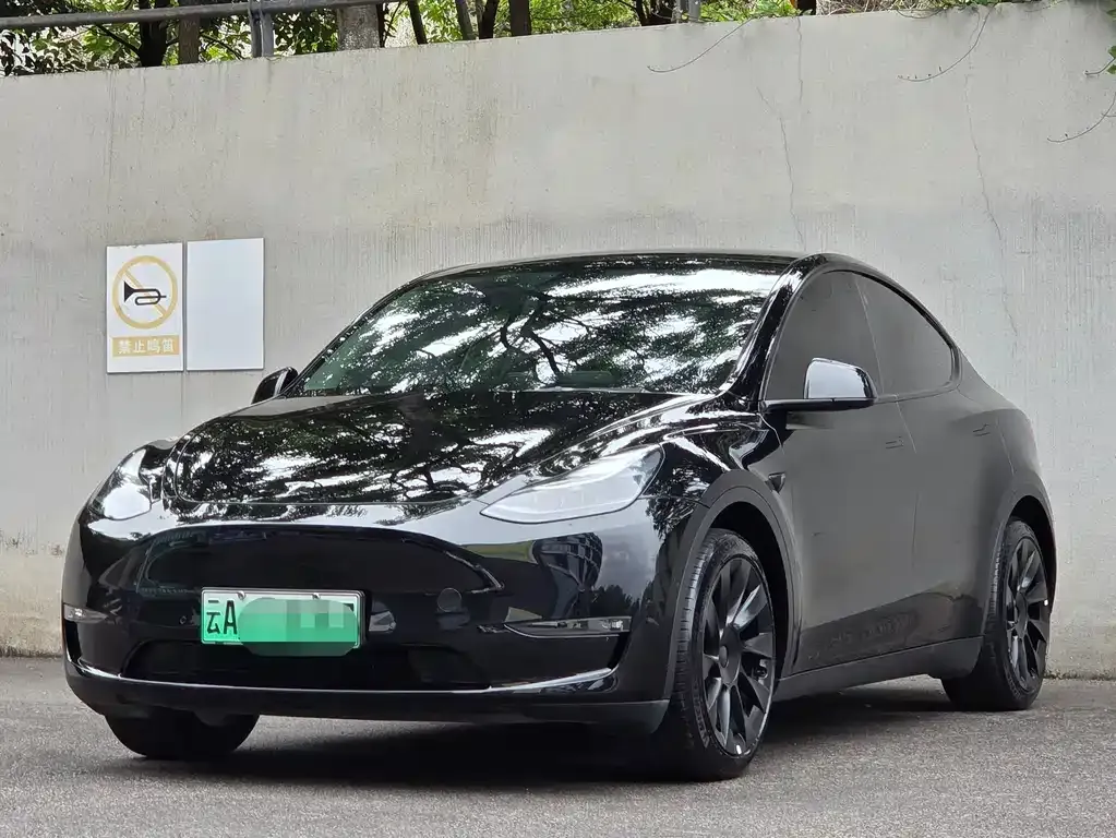 Tesla Model Y — фото 1
