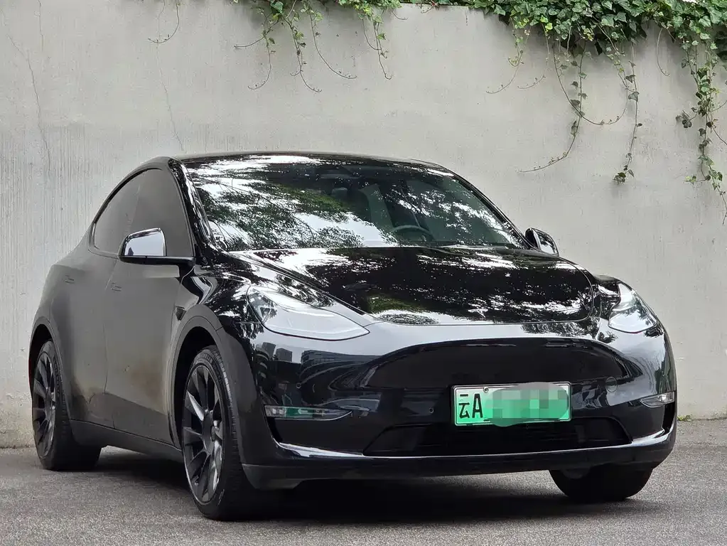 Tesla Model Y — фото 8