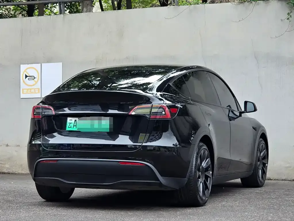 Tesla Model Y — фото 10
