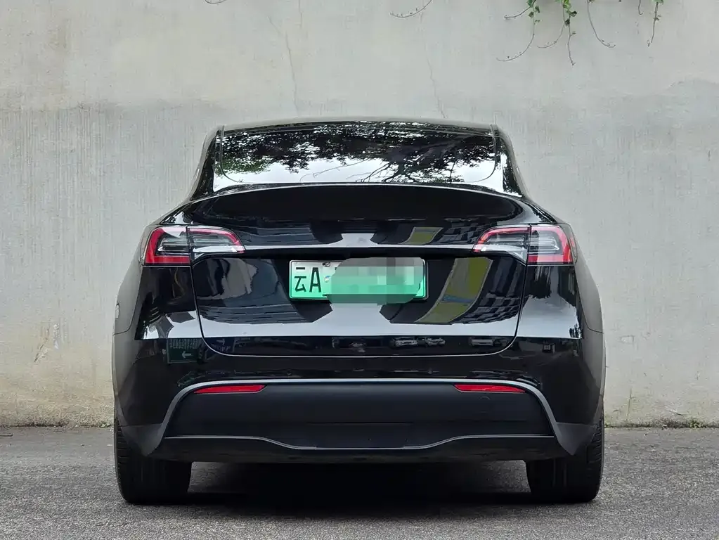 Tesla Model Y — фото 5
