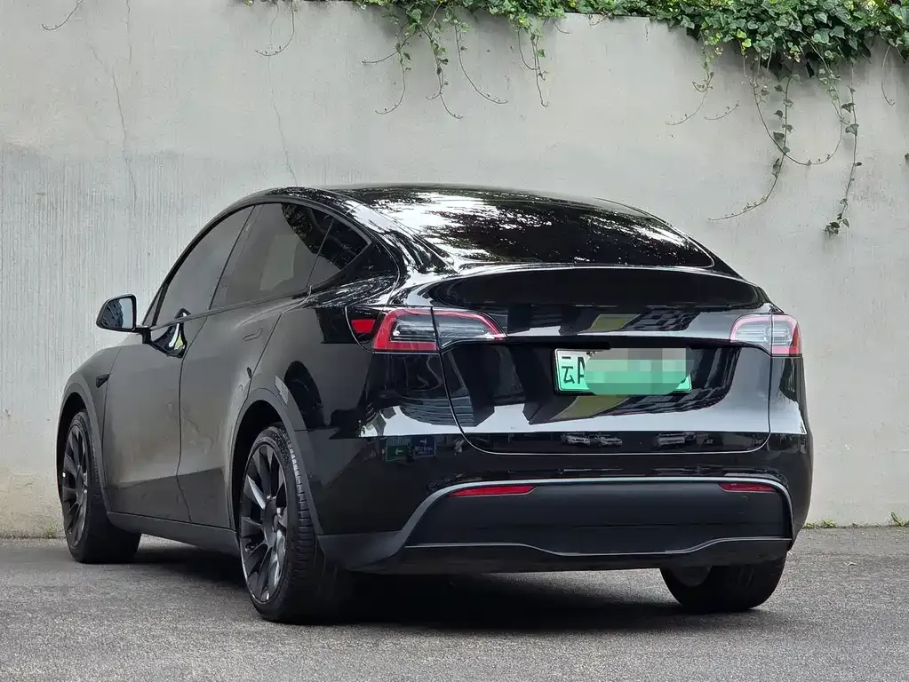 Tesla Model Y — фото 6
