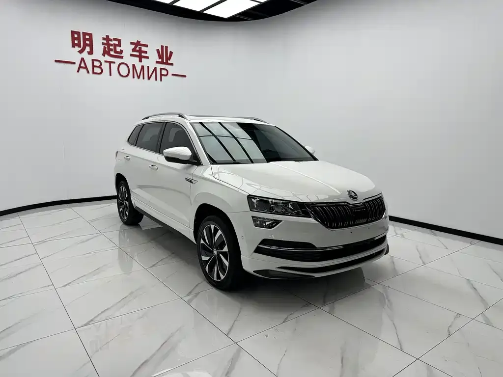 Skoda Karoq — фото 9