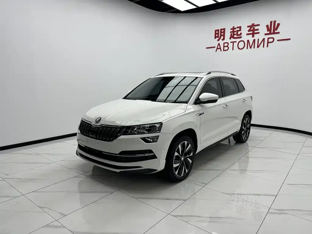 Skoda Karoq — фото 4