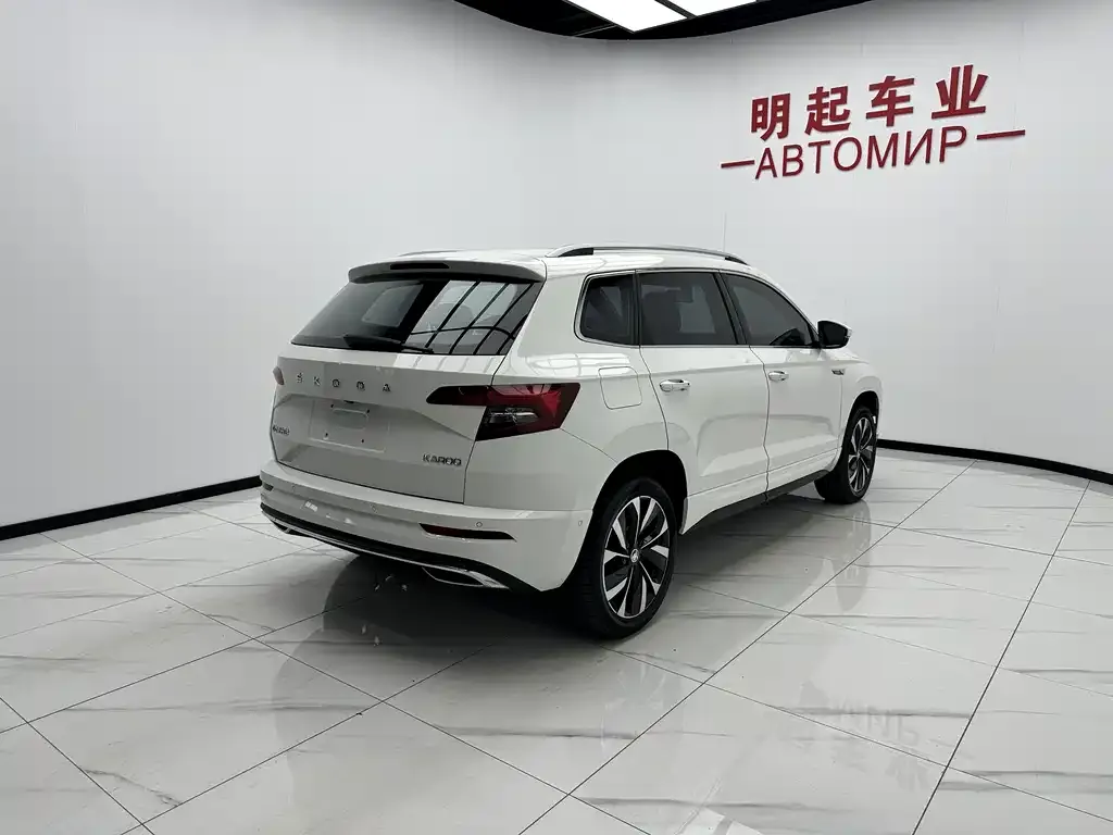 Skoda Karoq — фото 8