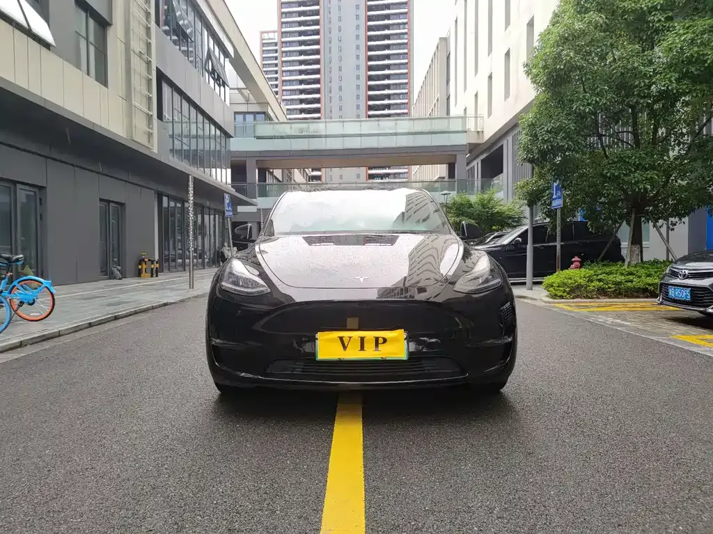 Tesla Model Y — фото 6