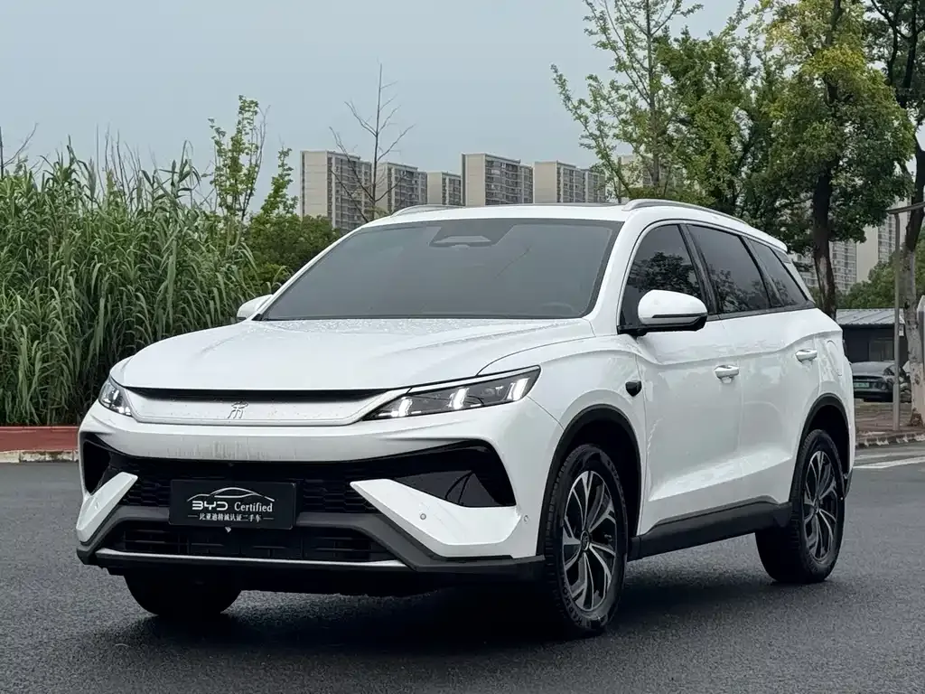 BYD Pro New Energy — фото 1